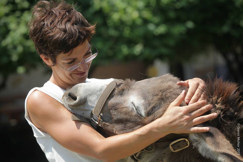 Asini Interventi Assistiti con Animali Trieste